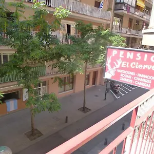Maison d'hôtes El Ciervo, Lloret de Mar